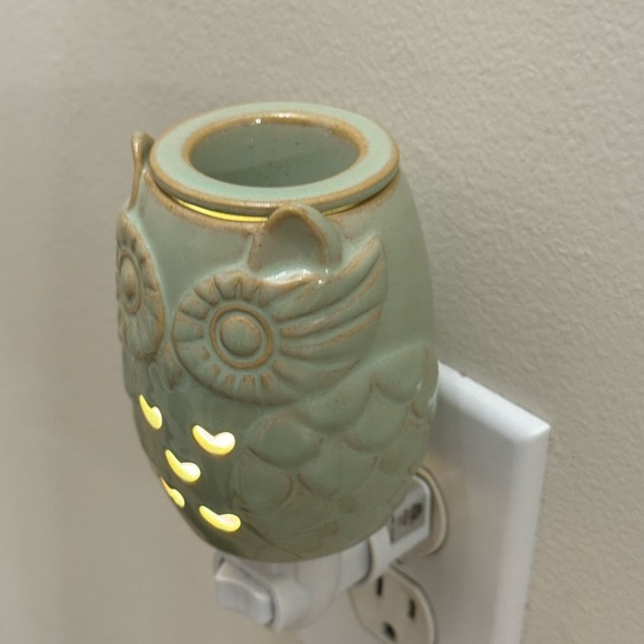 Scentsy Floral Wax Warmer w/ Wax Melts, non-Scentsy owl warmer & 2 Yankee Candle - Picture 12 of 16